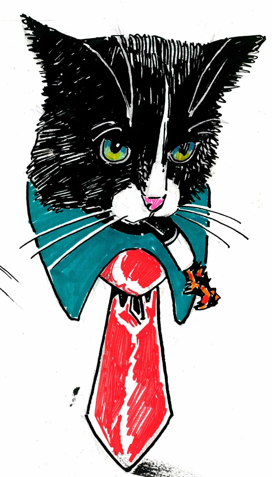 Tuxedo cat in a red tie