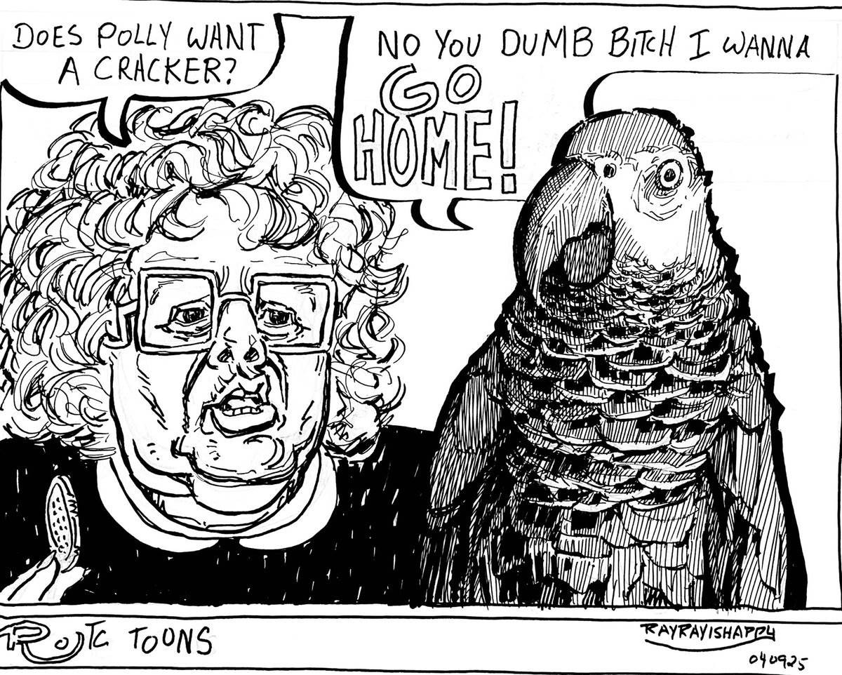 Polly want a cracker