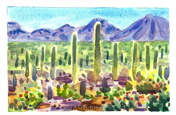 Saguaro forest on a broad bajada, 2026 — watercolor painting by Ray Patrick