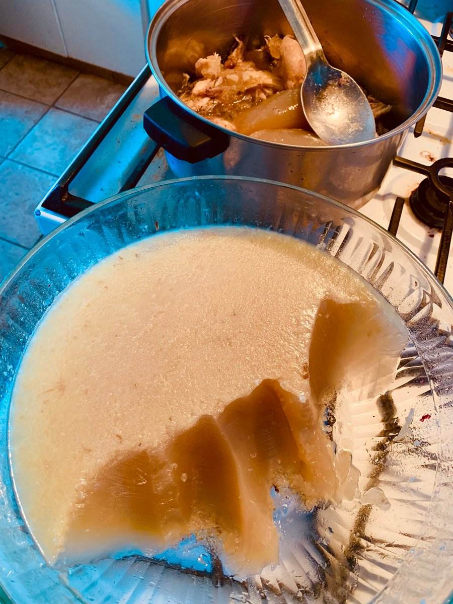 Set chicken stock gone to jelly in the bowl, 2026 — photograph by Ray Patrick
