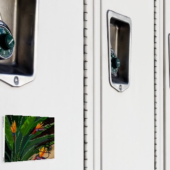 Fridge Magnet, locker — customized from one of Ray Patrick's paintings, made by @seashellsnsocal at rayrayisHAPPY.com - Landscapes, Gouache